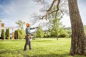 Best Tree Mulching  in Gridley, CA
