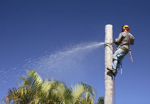Best Soil Testing and Treatment  in Gridley, CA