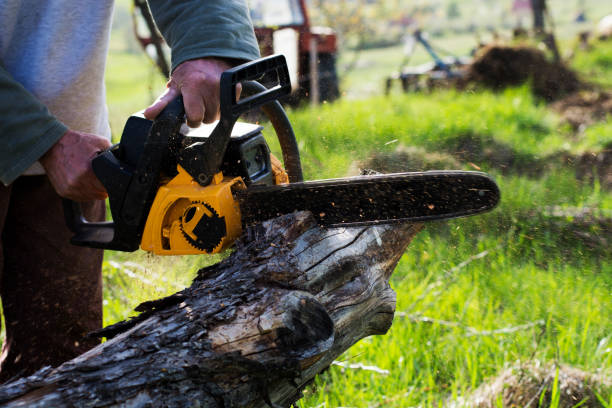 Best Weed Control  in Gridley, CA